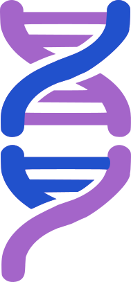 Файл:Xynergy logo.png