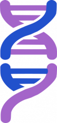 Xynergy logo.png
