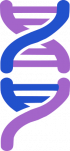 NT logo